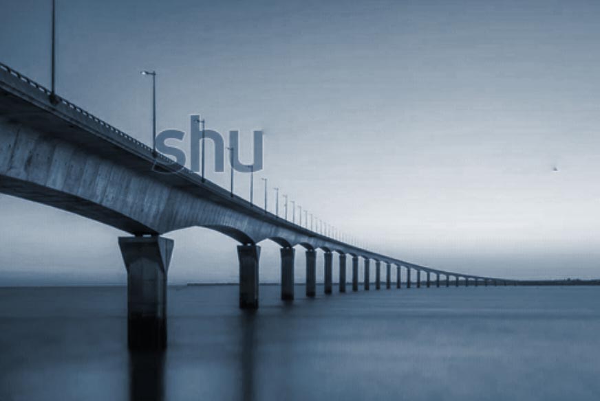 19_DBlau